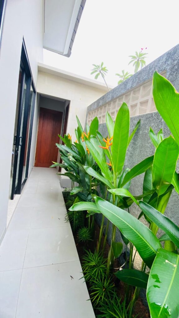 WhatsApp Image 2025-07-02 at 12.56.39